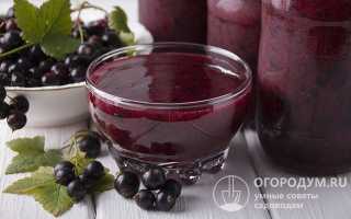 Что приготовить из смородины – лучшие рецепты вкусных блюд и напитков
