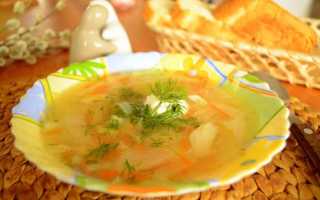 Щи из свежей капусты с курицей — 7 рецептов как вкусно приготовить