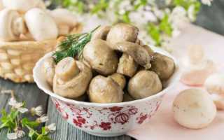 Маринованные шампиньоны — 10 очень вкусных рецептов в домашних условиях