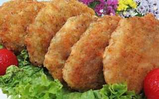 Котлеты из оленины – 2 рецепта приготовления вкусного сочного блюда