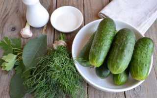 Простые и вкусные способы сухой засолки огурцов в банке, пакете и бочке