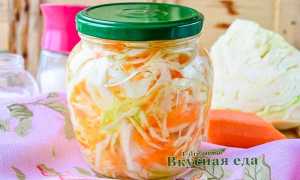 Маринованная капуста с яблоками: лучшие способы, пошаговое описание