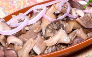 Как мариновать волнушки на зиму: простые и вкусные рецепты с фото