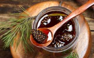 Варенье из сосновых шишек: 8 вкусных рецептов приготовления варенья из шишек сосны